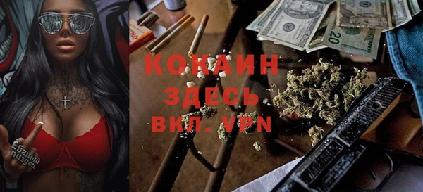 мяу мяу мука Волоколамск